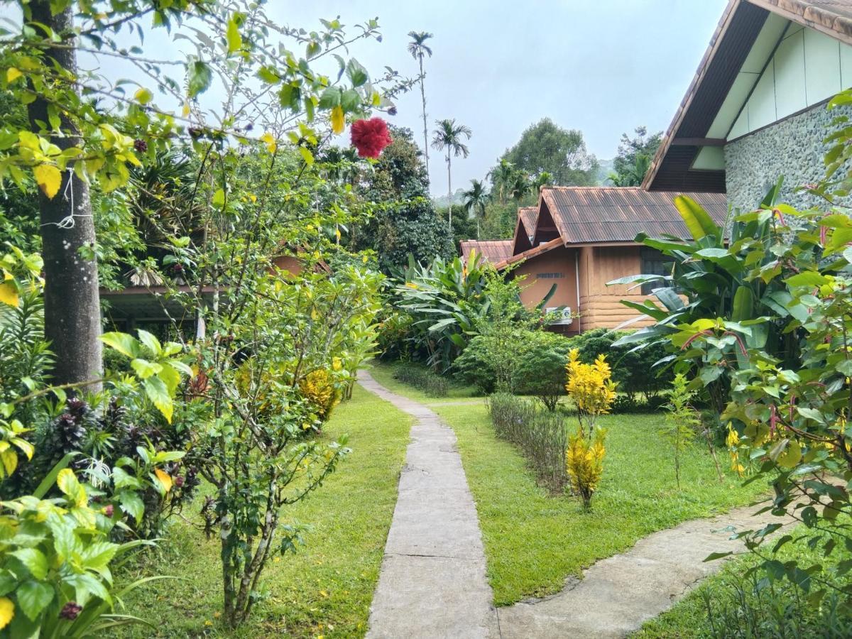 Khao Sok River & Jungle Resort Khao Sok National Park 외부 사진