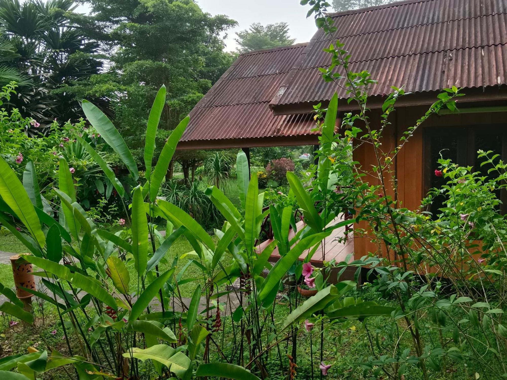 Khao Sok River & Jungle Resort Khao Sok National Park 객실 사진